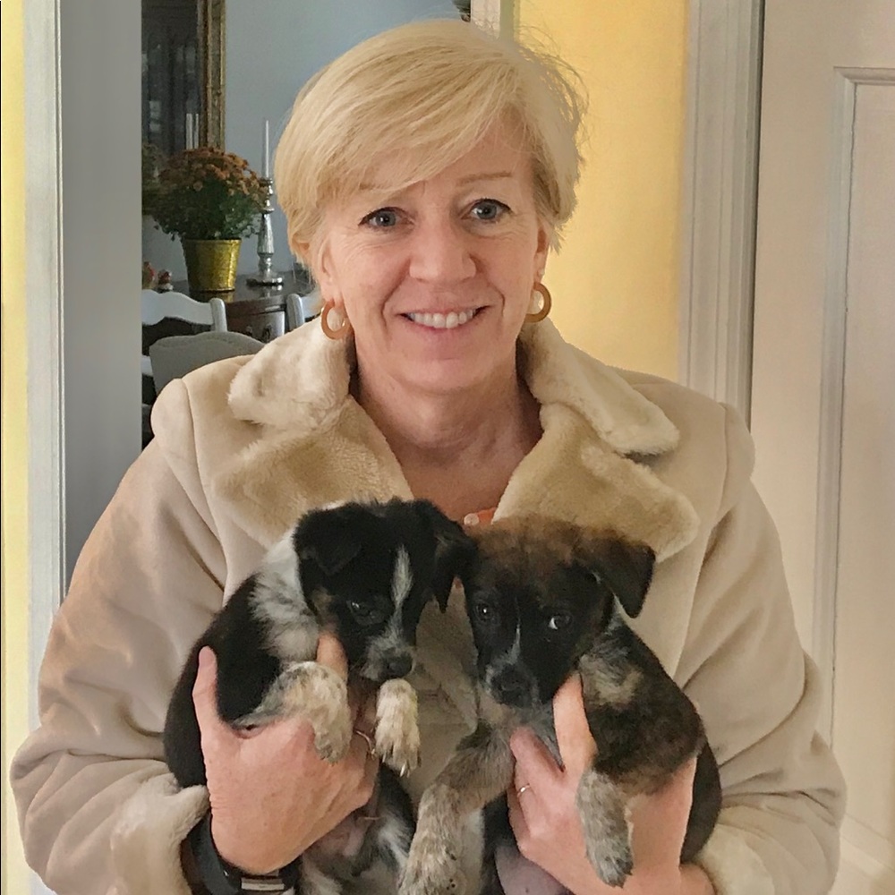 Meet your Posher, Maria